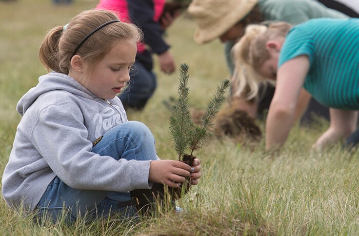 Image d’une enfant plantant un arbre avec Régénération forestière Canada